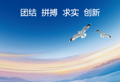 组 4.png
